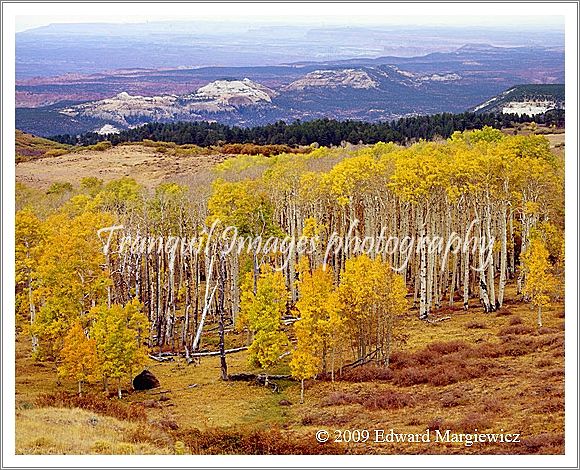 450596   From Boulder Mnt to Capital Reef NP